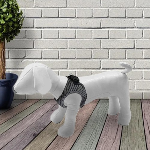 1pc hund mannequin standing - mannequin,